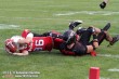 Thumbs/tn_GFL_014.jpg