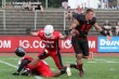Thumbs/tn_GFL_016.jpg