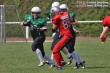 Thumbs/tn_IMG_6486.jpg