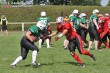 Thumbs/tn_IMG_6602.jpg