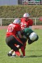 Thumbs/tn_IMG_6667.jpg