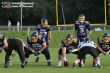 Thumbs/tn_IMG_7807.jpg