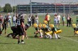 Thumbs/tn_IMG_8128.jpg