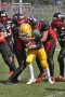 Thumbs/tn_IMG_8147.jpg