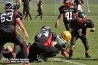 Thumbs/tn_IMG_8229.jpg