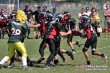 Thumbs/tn_IMG_8248.jpg