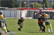 Thumbs/tn_IMG_8305.jpg