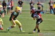 Thumbs/tn_IMG_8317.jpg