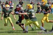 Thumbs/tn_IMG_8319.jpg
