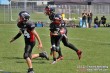 Thumbs/tn_IMG_8335.jpg