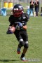 Thumbs/tn_IMG_8338.jpg