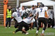 Thumbs/tn_IMG_9482.jpg