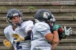 Thumbs/tn_IMG_9545.jpg