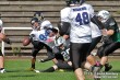Thumbs/tn_IMG_9697.jpg