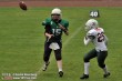 Thumbs/tn_JMG_0049.jpg