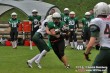Thumbs/tn_JMG_0253.jpg
