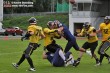 Thumbs/tn_IMG_1106.jpg