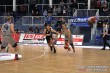 Thumbs/tn_IMG_1885.jpg