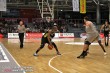 Thumbs/tn_IMG_1993.jpg