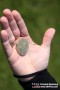 Thumbs/tn_IMG_2804.jpg