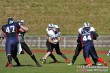 Thumbs/tn_IMG_3001.jpg