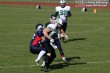 Thumbs/tn_IMG_3015.jpg
