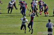 Thumbs/tn_IMG_3050.jpg