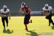 Thumbs/tn_IMG_3119.jpg