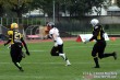Thumbs/tn_IMG_4356.jpg