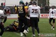 Thumbs/tn_IMG_4760.jpg
