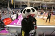 Thumbs/tn_IMG_3566.jpg