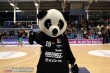 Thumbs/tn_IMG_8550.jpg