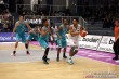 Thumbs/tn_IMG_8742.jpg