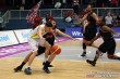 Thumbs/tn_IMG_9501.jpg