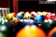 Thumbs/tn_IMG-AG-175.jpg