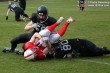 Thumbs/tn_IMG_4238.jpg