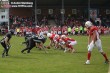 Thumbs/tn_IMG_4248.jpg