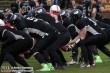 Thumbs/tn_IMG_4428.jpg