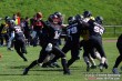 Thumbs/tn_IMG_5687.jpg