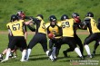 Thumbs/tn_IMG_6131.jpg