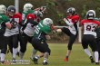 Thumbs/tn_IMG_6348.jpg