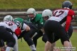 Thumbs/tn_IMG_6482.jpg