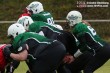 Thumbs/tn_IMG_6520.jpg