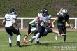 Thumbs/tn_IMG_7708.jpg