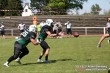 Thumbs/tn_IMG_7875.jpg
