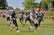 Thumbs/tn_IMG_8054.jpg