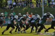 Thumbs/tn_IMG_8061.jpg