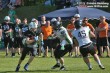 Thumbs/tn_IMG_8087.jpg