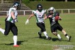 Thumbs/tn_IMG_8139.jpg