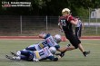 Thumbs/tn_IMG_8646.jpg